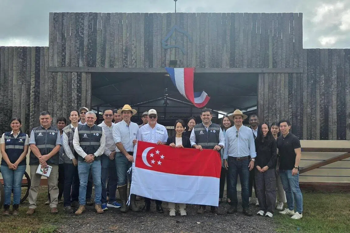 永续发展与环境部长傅海燕（右九）与巴拉圭农业与畜牧业部副部长冈萨雷斯（Marcelo González，右五）一行人参观当地的肉牛养殖场。（取自傅海燕脸书）