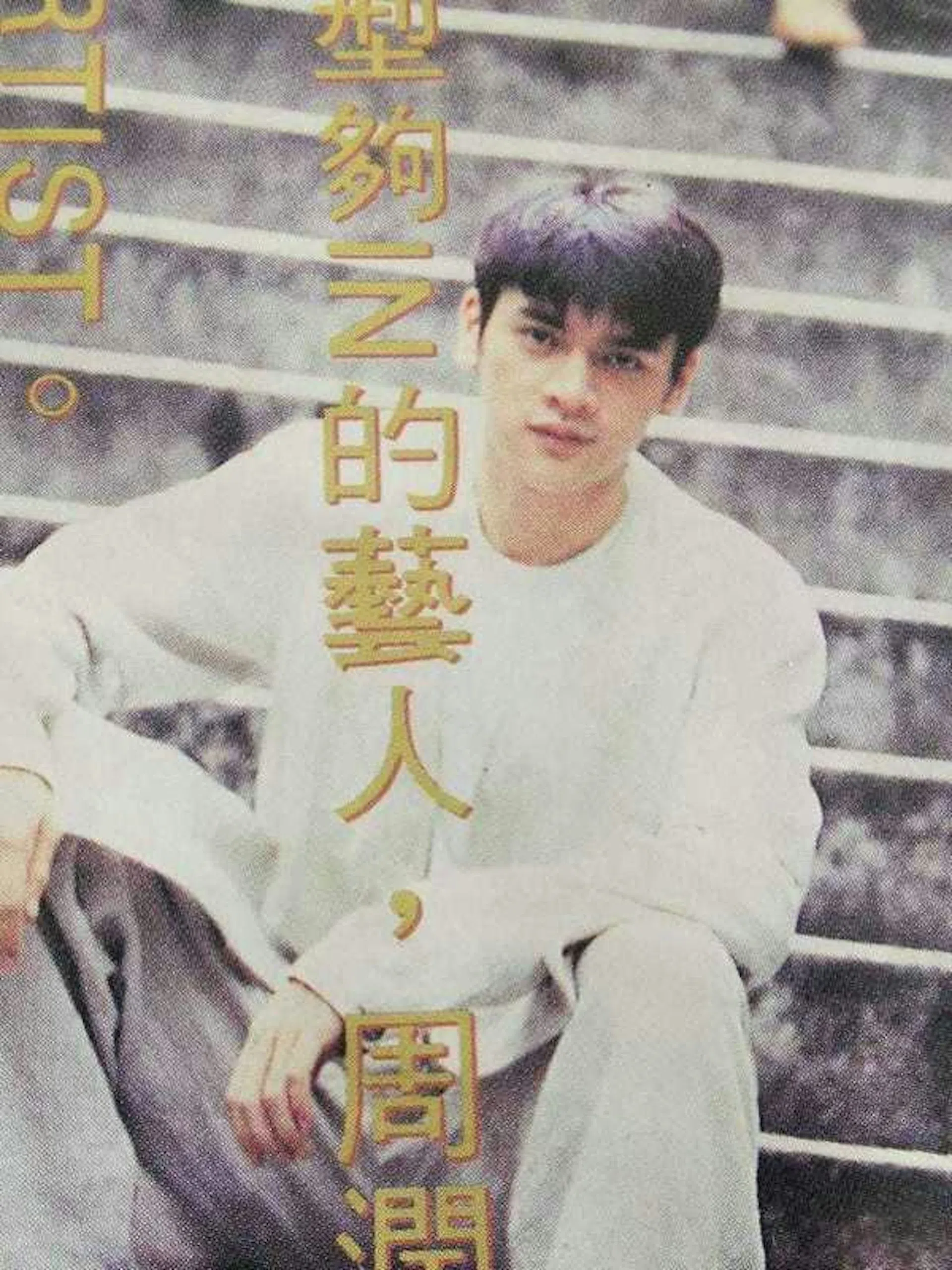 洪楗华当年以17岁嫩龄出道，不过很快就淡出了娱乐圈。（互联网）