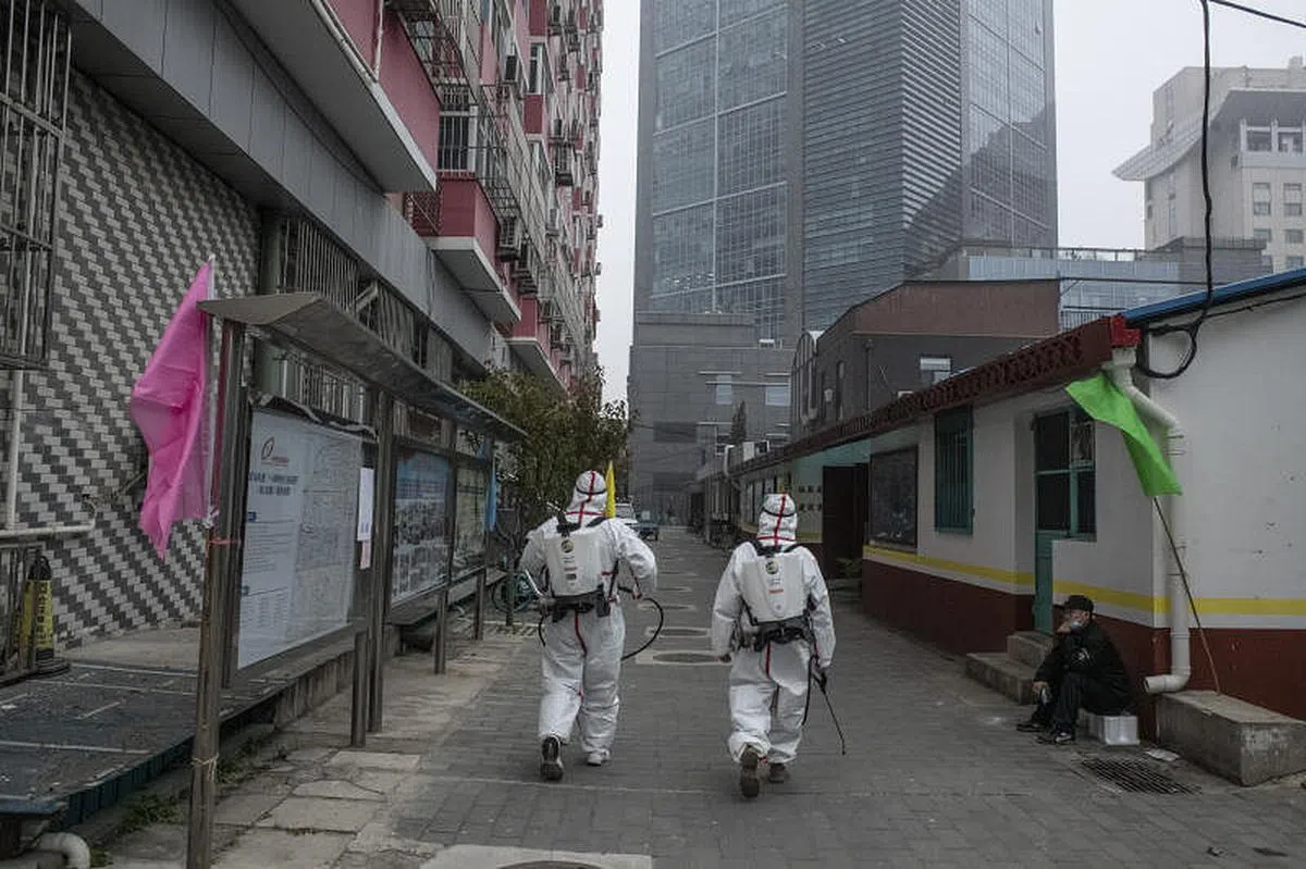 中国的防疫政策若不与时俱进，将面临陷入“孤岛”的风险。图为消毒人员今天正在北京某街道消杀。（彭博社）