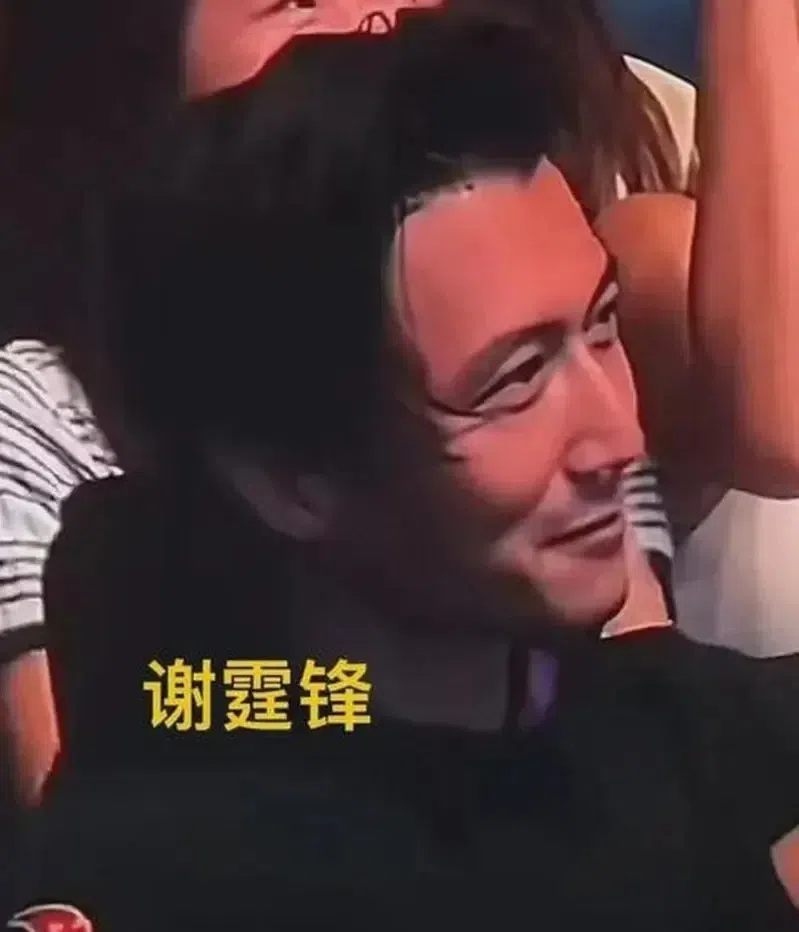 谢霆锋被指意外出席窦靖童的演唱会。（互联网）