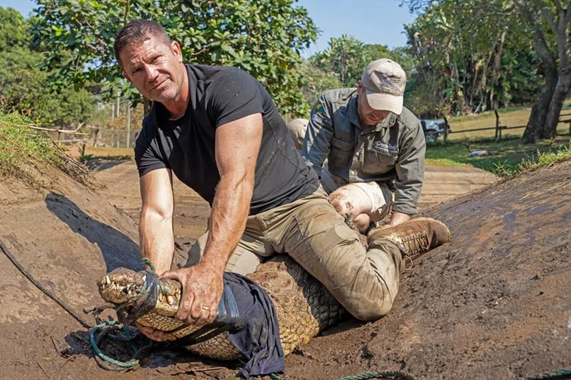 史提夫巴克肖尔与鳄鱼近距离接触。（星和提供）