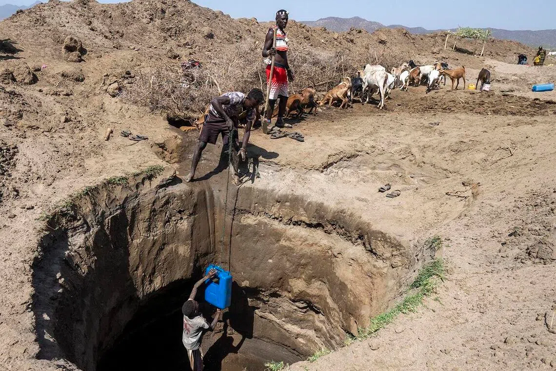 新闻纪实组PSA银奖：人生不易／Marian Plaino（罗马尼亚）（新加坡摄影学会提供）