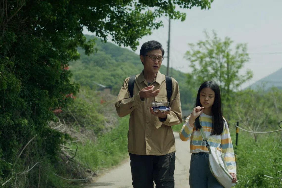 韩国电影节开幕片《蜜蜂与蚕》紧扣生态主题。（新加坡电影协会提供）