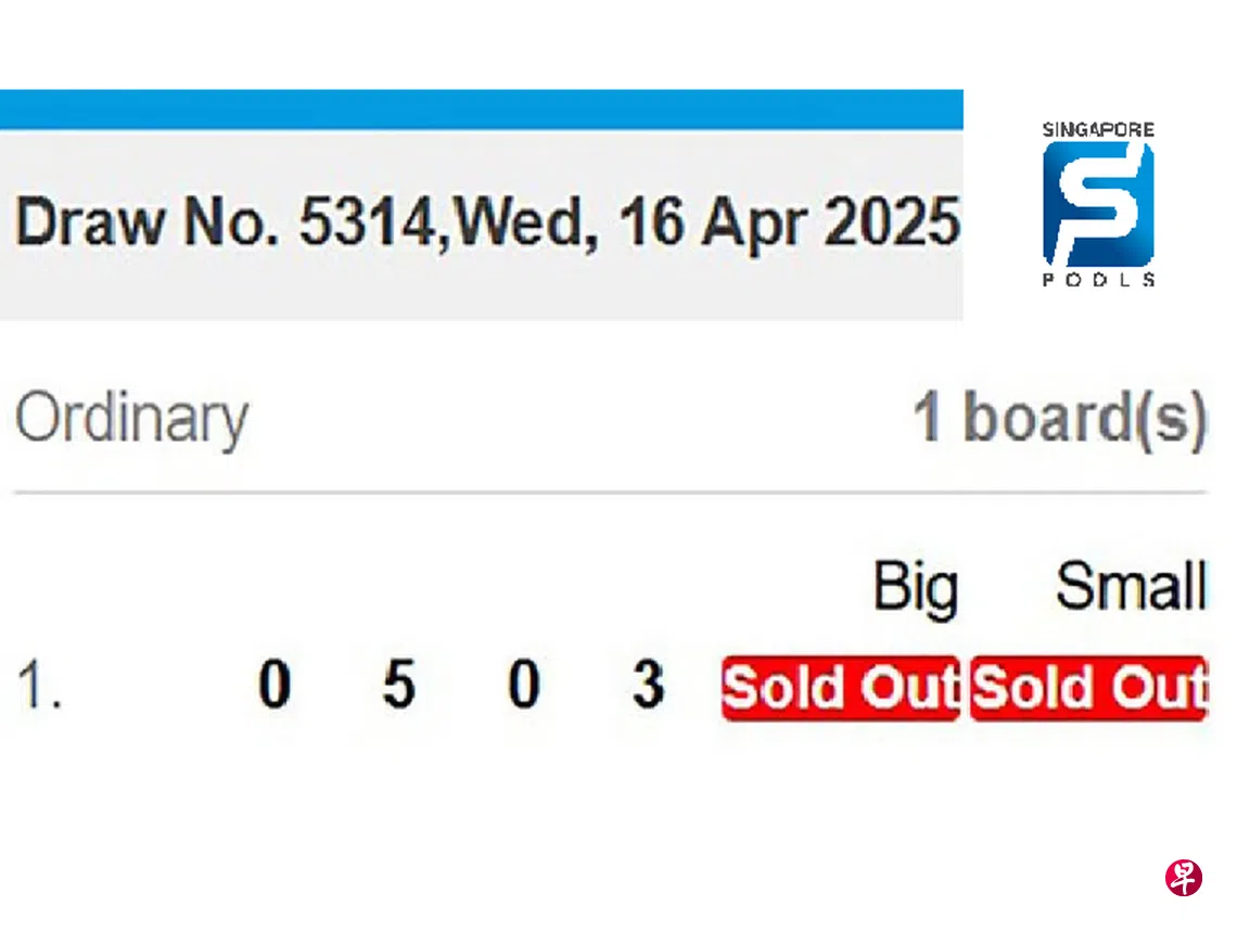 0305”和“0503” 投票日红字买不进| 联合早报