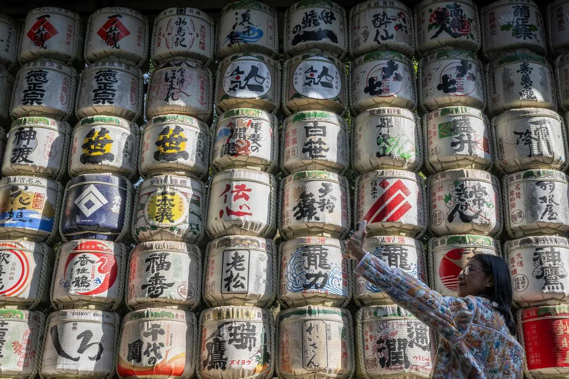 日本传统清酒列入人类非物质文化遗产代表名录，日本酿酒业希望借此推动清酒的出口，同时激发日本人对清酒的热爱。（法新社）