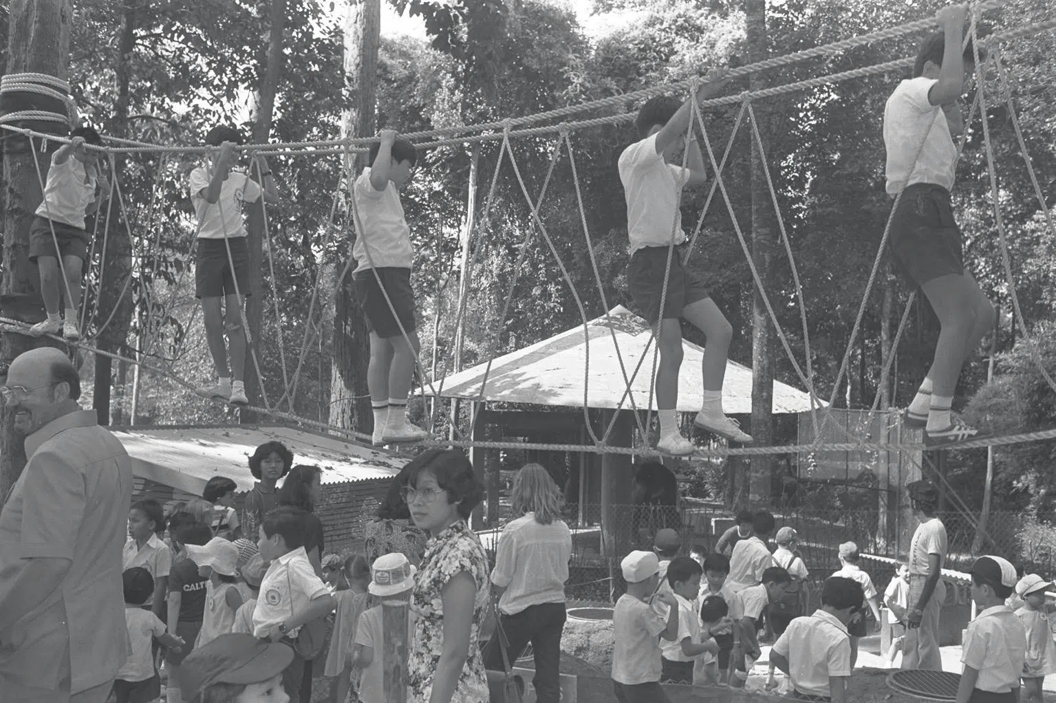 1980年2月，新加坡儿童探险动物园落成，这个小园地附设在新加坡动物园内。探险动物园有许多特别设计的地道、树丛、矮屋、吊绳，让孩子们钻地洞、爬树干。（档案照片）