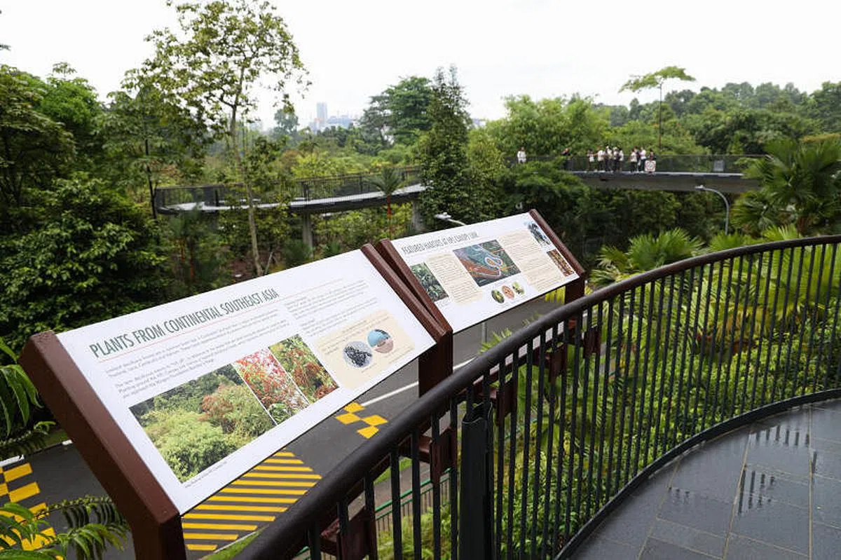 为方便访客通行，园内新设200米长的无障碍桥梁。（李冠卫摄）