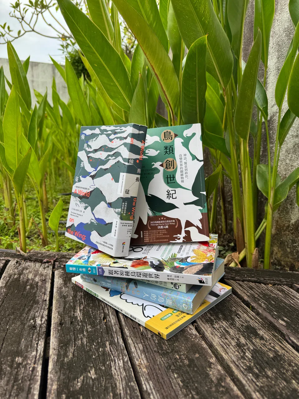 从本地华文书局友联书局搜罗到的鸟类相关书籍，内容丰富。（陈宇昕摄）