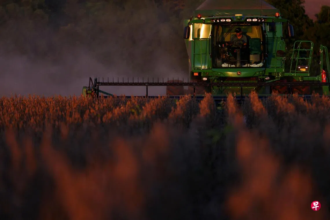 中国因卫生问题暂停部分巴西大豆进口| 联合早报