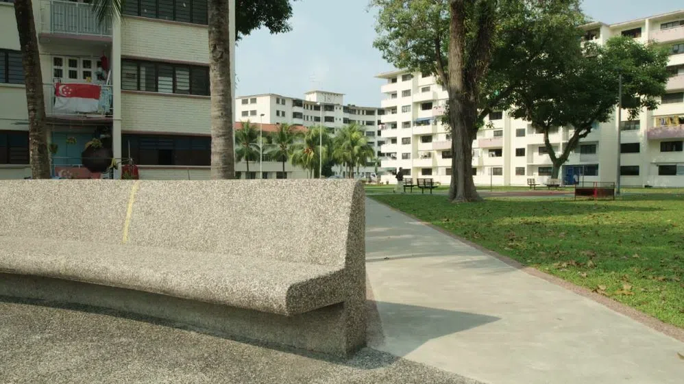 《光辉岁月》是赖捷生和得奖摄影师Brian McDairmant在10年前为SG50携手创作的纪录片。（截图自《光辉岁月》视频）