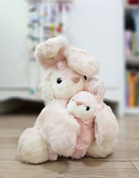 沈琳宸9岁捐骨髓时，收到护士赠与的兔子毛绒玩偶。（取自沈琳宸IG）