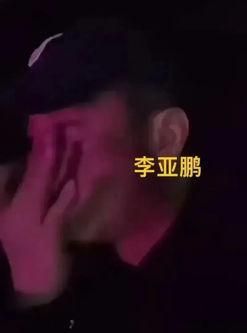 李亚鹏被指在窦靖童的演唱会上，一度因感动而红了眼眶。（互联网）