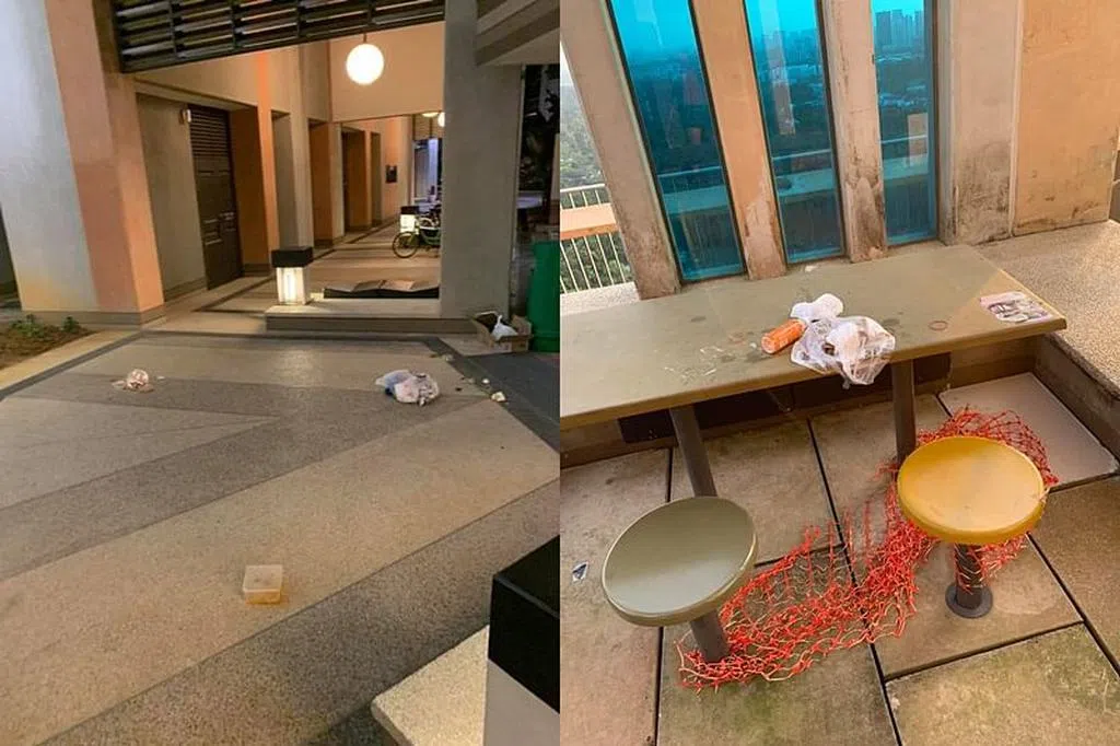 杜生庄组屋天台花园乱象多 议员促加强管控 | 联合早报
