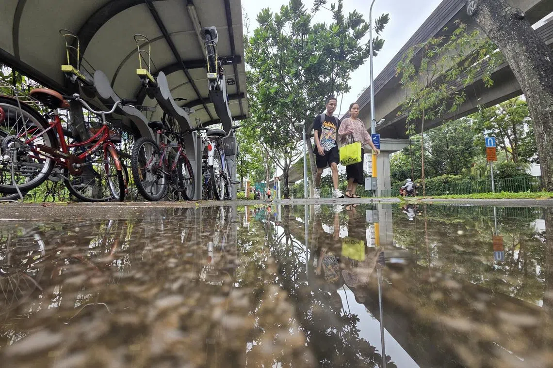 星期天（4月13日）下午一场大雨，盛港西一带出现积水。（郑一鸣摄）