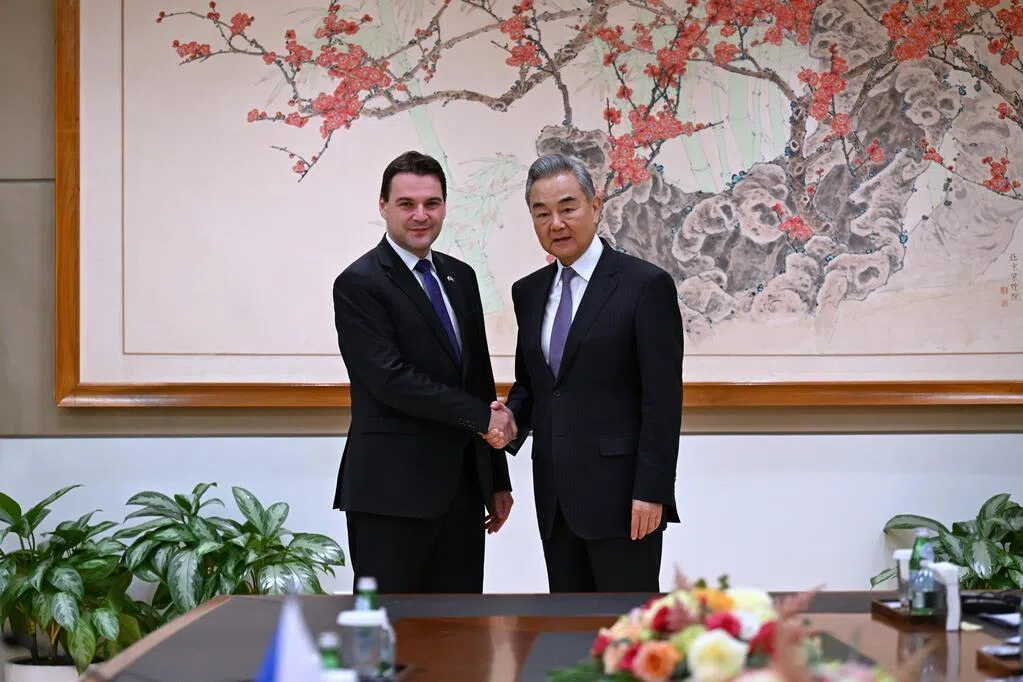 王毅见捷克副总理 双方释放关系回暖信号