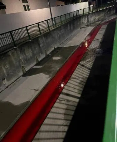 沟渠被染成鲜红色。（取自STOMP）