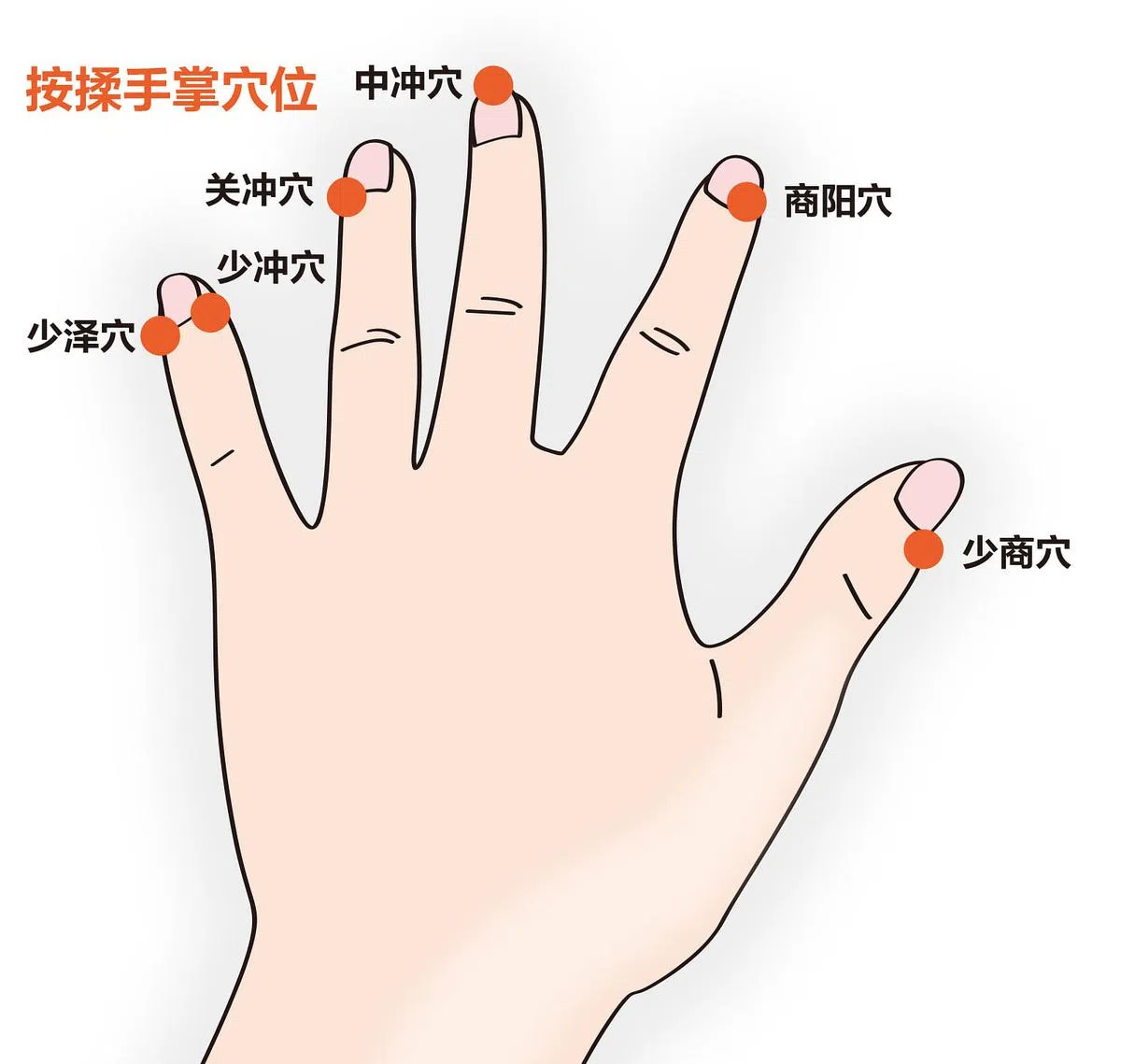 我们的身体有十二经脉，与十二脏腑相对应，其中六条经脉循行于手。