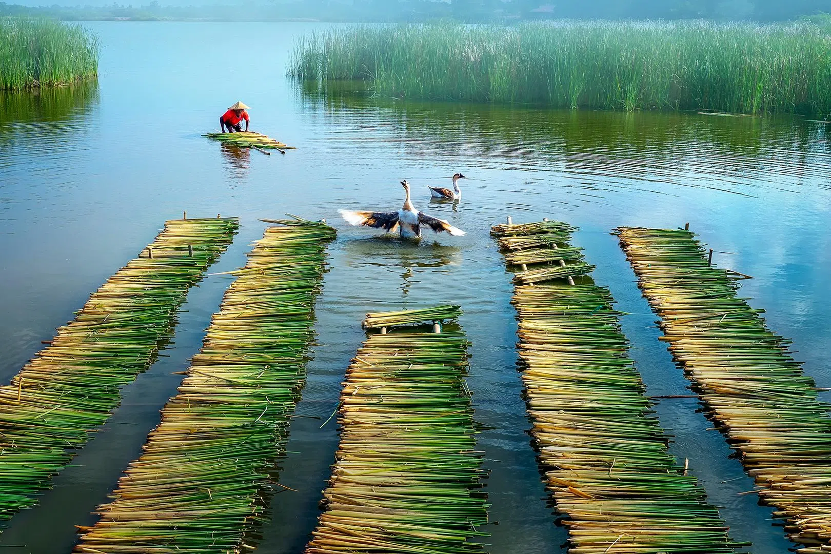 生活专题组FIAP表扬奖：乡野生活／Si Thu Ye Myint（缅甸）（新加坡摄影学会提供）