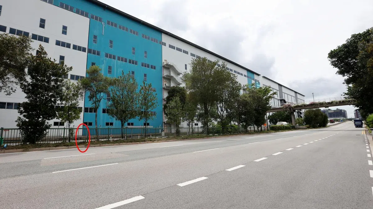 阿叔乱过马路不远处就有一座行人天桥。（庄耿闻摄）