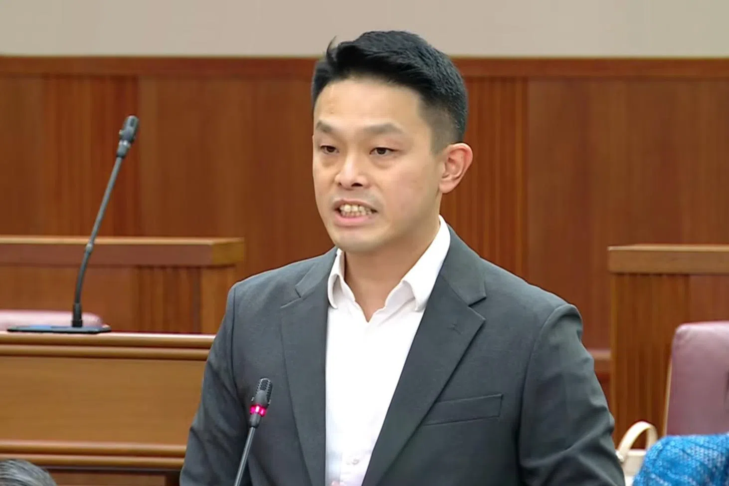 许德财建议，我国不妨尝试推出“大家庭大房子”的住屋政策，让有意生育更多子女的家庭，可在购买更大间的组屋时，享受更多津贴。（gov.sg视频截图）