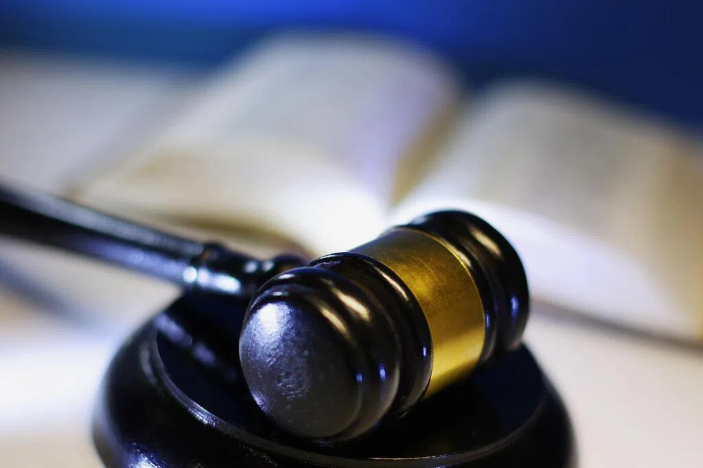 一名男子要为卧床母亲聘请会说华语的女佣，中介提供履历与自我介绍视频推荐缅甸籍女子，岂料后者开工后，连简单华语词汇也听不懂