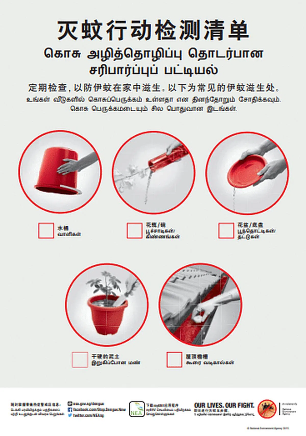 国家环境局的宣导传单，说明“灭蚊五步骤”。