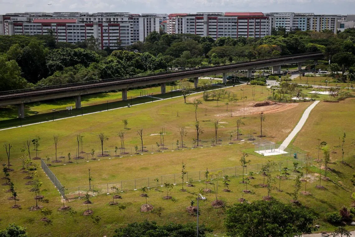 淡滨尼林荫大道公园（Tampines Boulevard Park）由淡滨尼12道隔开的公园东段，星期六（2月22日）正式开放。占地4.78公顷的公园西段于去年9月开放后，一些狗主反馈，希望公园能设遛狗场。新的遛狗场（图中）面积为1200平方米，狗狗可以在围栏内的缓坡上自由奔跑。（叶振忠摄）