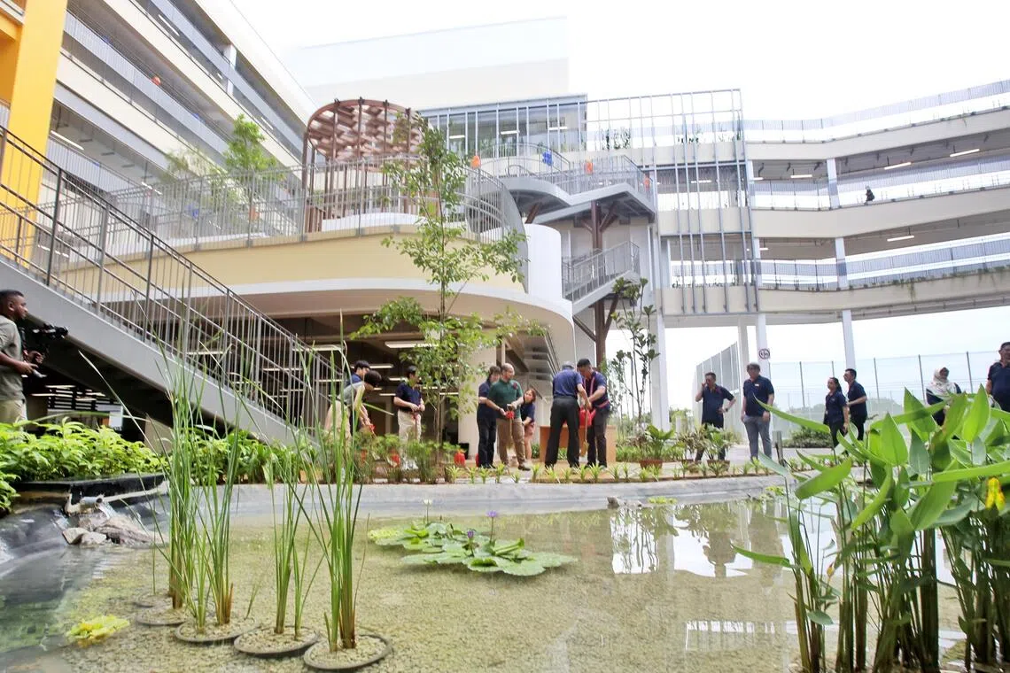 校园打造成绿意盎然的环境，有热带绿植、开放空间和生态池塘。多层绿色空间善用自然光和通风，并可进行户外教学活动。（特约陈福洲摄）