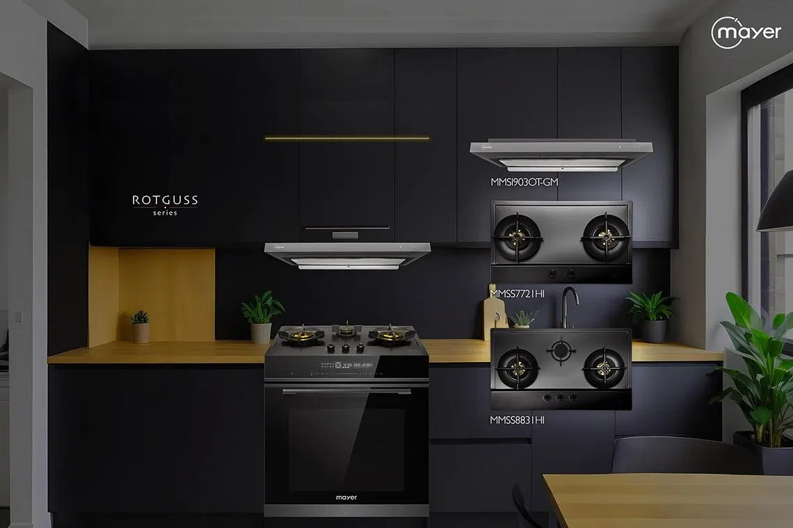 Mayer抽油烟机，三种可调速度设置，满足不同用途需要。（商家提供）