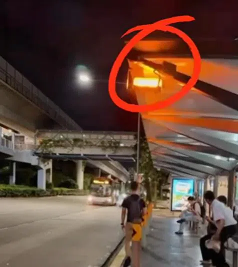 当局在指定巴士站开着闪烁的灯（红圈），帮助公众识别可以免费乘搭普通巴士的巴士站。（取自陆交局脸书）