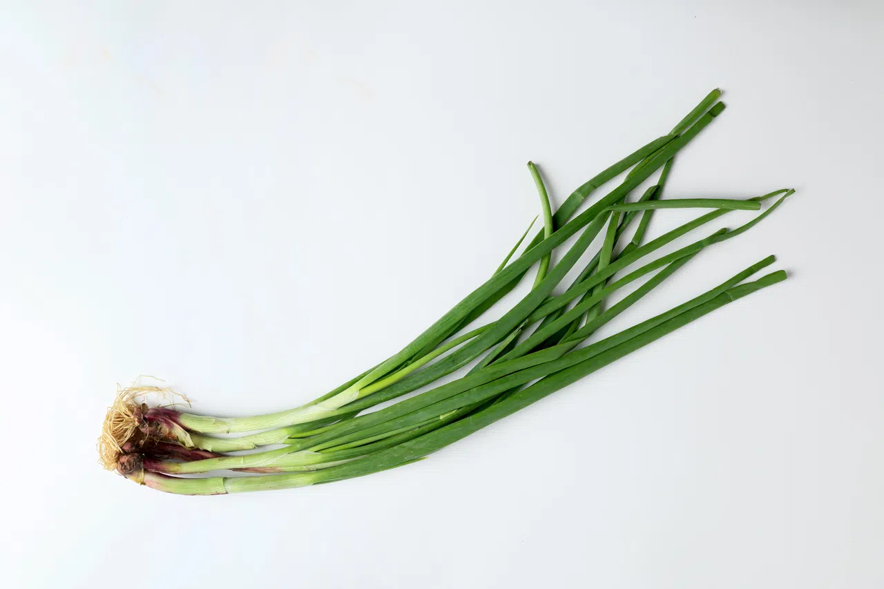 如果胃酸分泌过多，或是患有胃溃疡、胃炎，过量食用葱可能刺激胃黏膜，加重不适。（龙国雄摄）