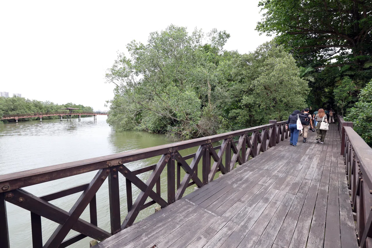 考虑到社区伙伴的反馈，公园局保留旧桥的部分结构，将它改造成瞭望台。（邝启聪摄）