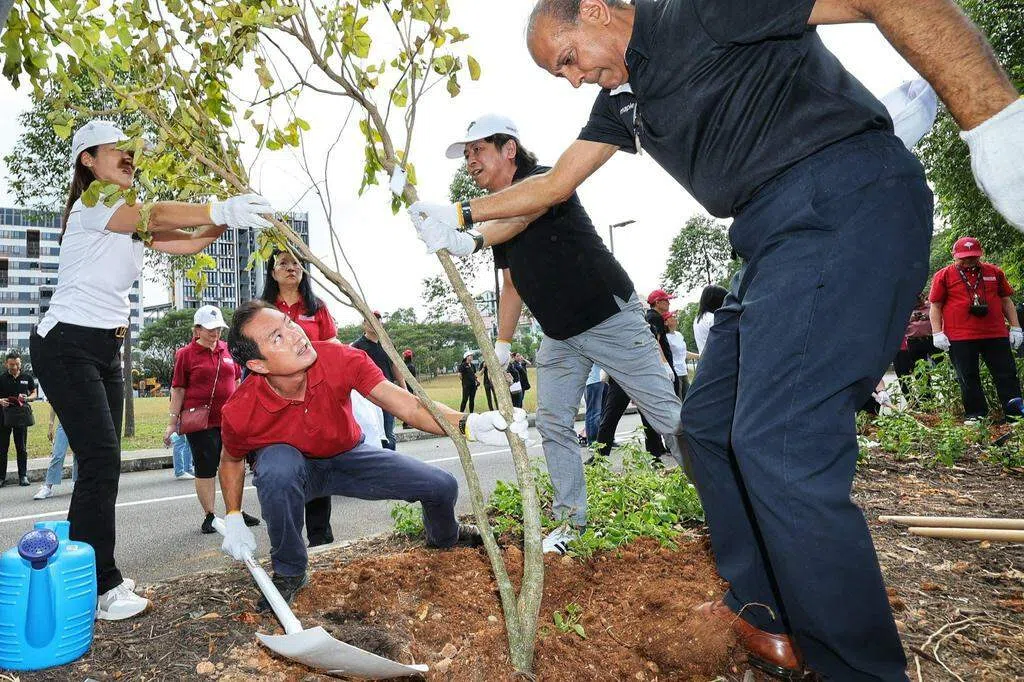 丰树集团捐赠250棵树给新加坡科技设计大学 | 联合早报