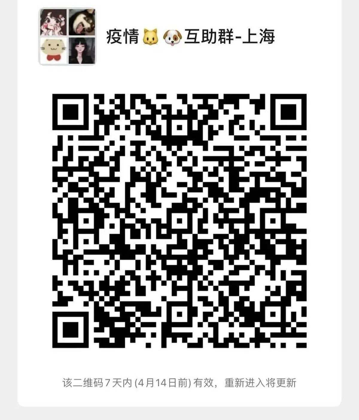 上海网民自发组织了疫情宠物互助微信群，互相交换信息和经验。（互联网）