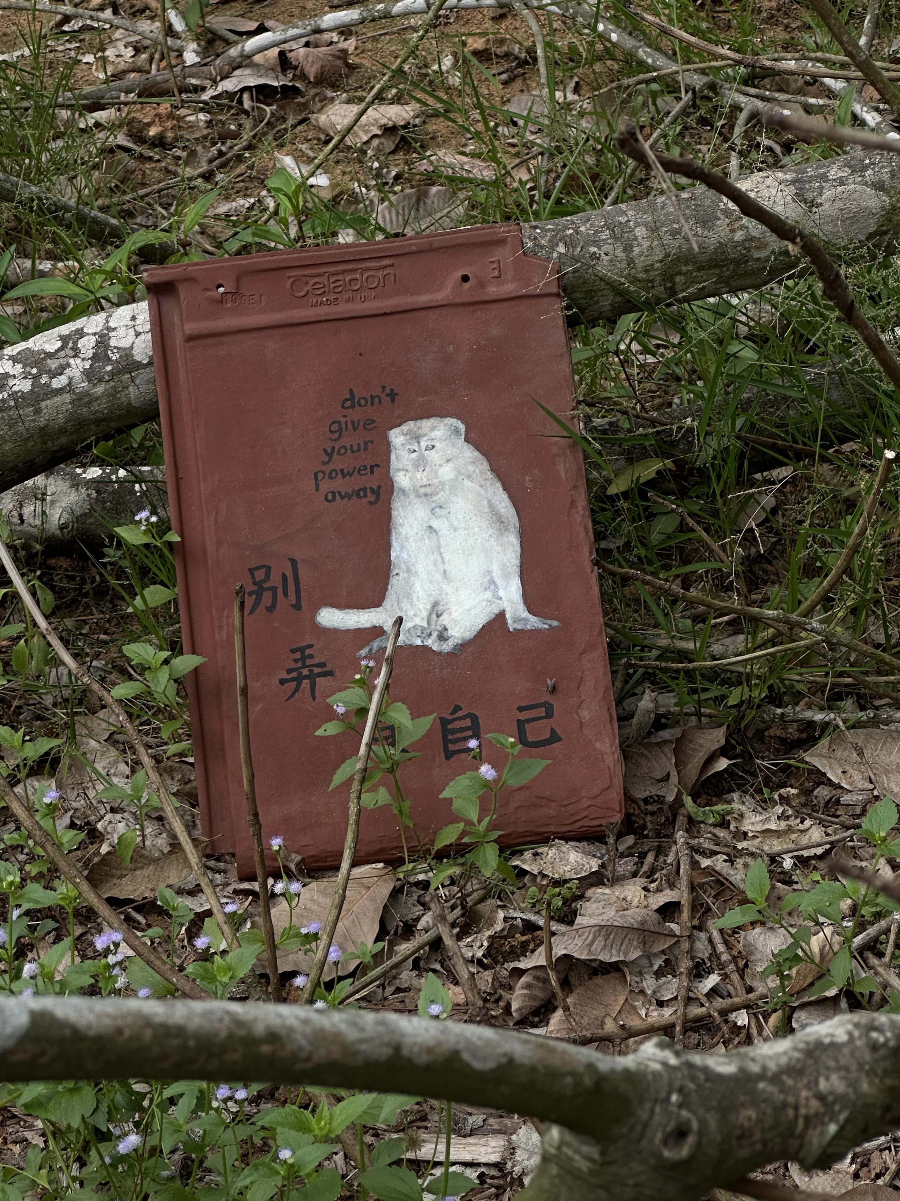 艺术工作者苏淑琴的装置艺术“没有办法”就地取材，在瓦片上绘图。（孙靖斐摄）