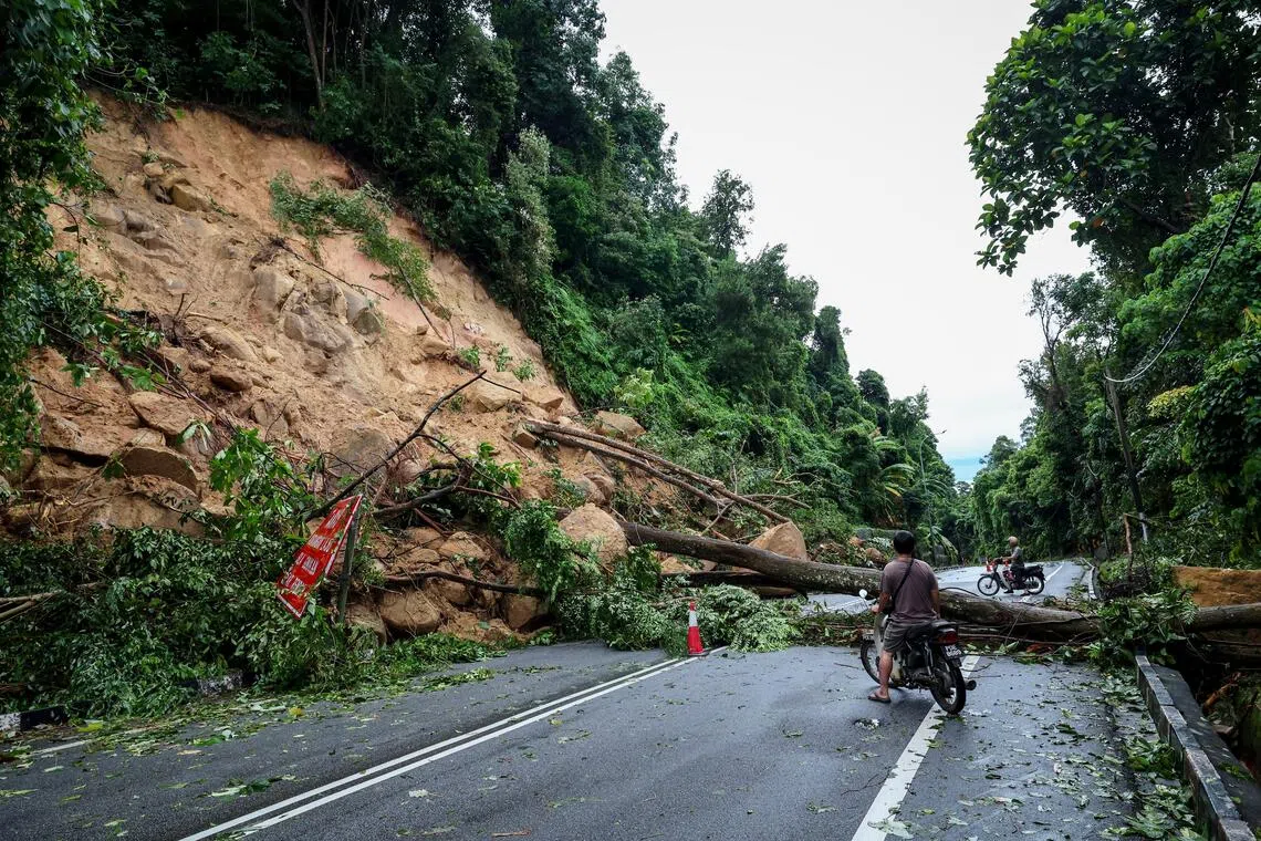 檳城浮羅山背發生土石崩落，有棵大樹倒塌，還好沒有人受傷。