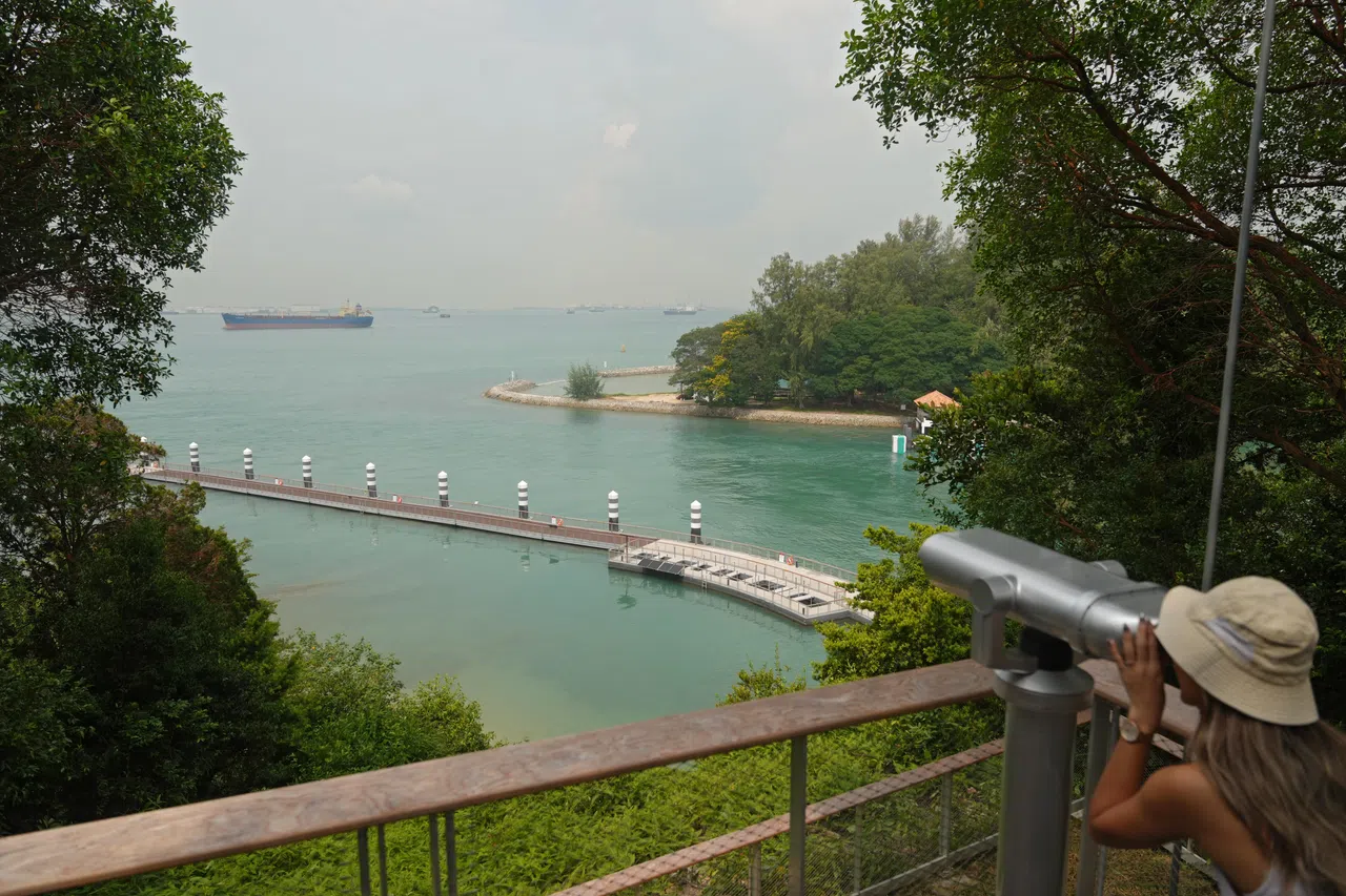 顺着步道登上山顶瞭望台，能眺望我国西南方向海域的岛礁和船只，亦可瞥见隔壁小姐妹岛海龟孵化场的一角。（谢智扬摄）