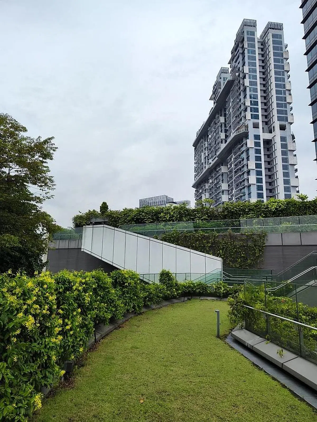 小米12T Pro的照片色彩趋近自然。（黄少伟摄）