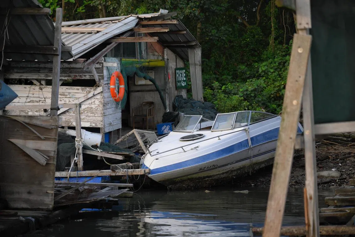废弃物包括棚屋和小船。（海峡时报）
