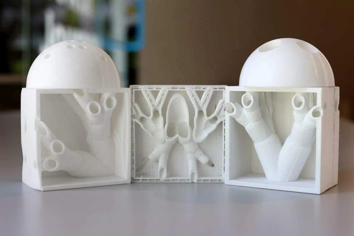 bioSEA从白蚁丘获得灵感用3D打印出来的透气砖块。（龙国雄摄）