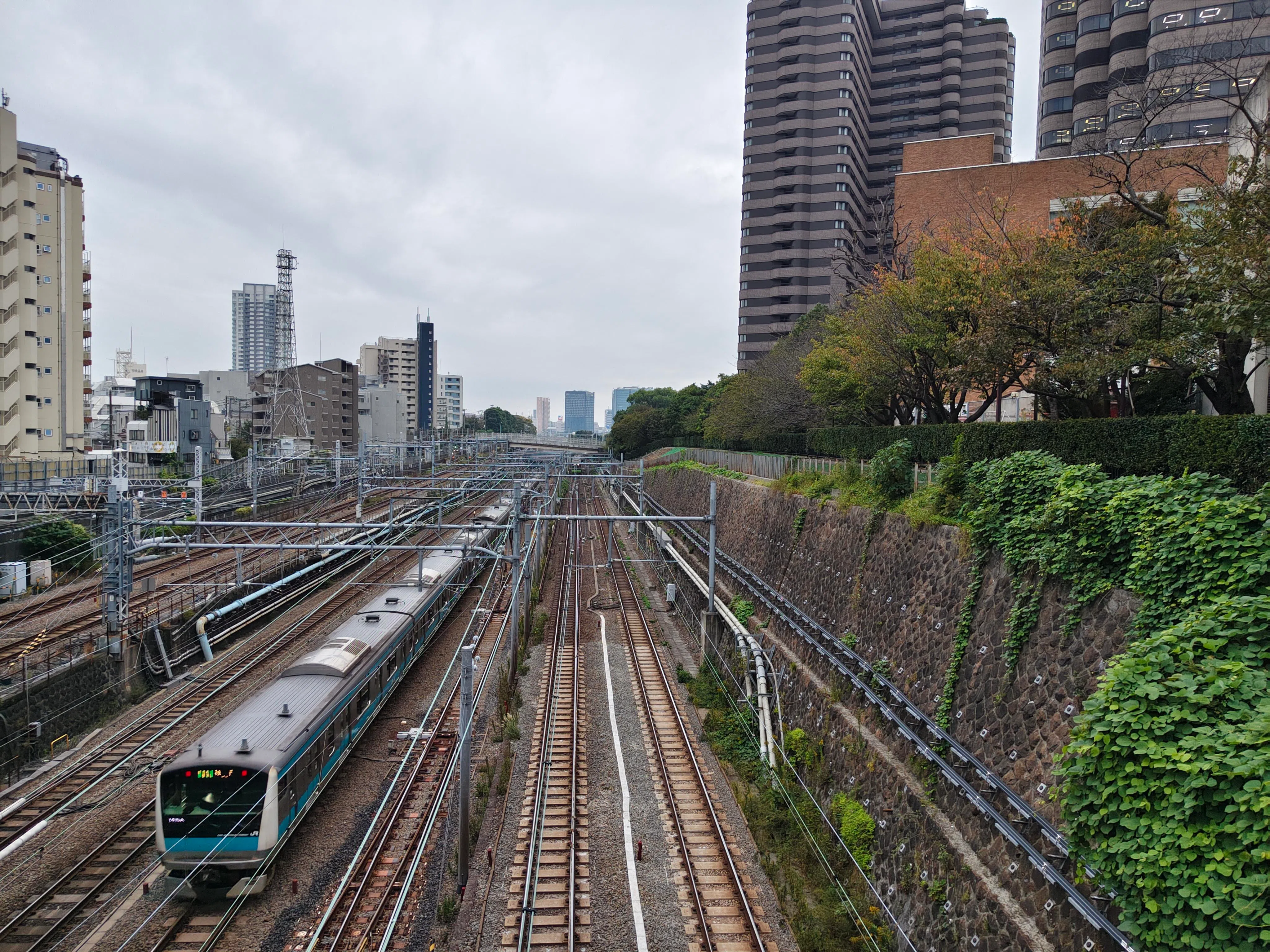 白天摄影，景物色彩趋近自然。（黄少伟摄）
