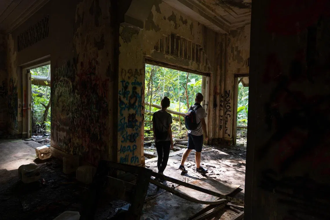 Hidden Heritage Collective推出多条小众导览路线，带领公众在丛林中探索老建筑的遗址，在老建筑重建或拆除之前一探它们曾经的辉煌。（取自Hidden Heritage Collective网站）