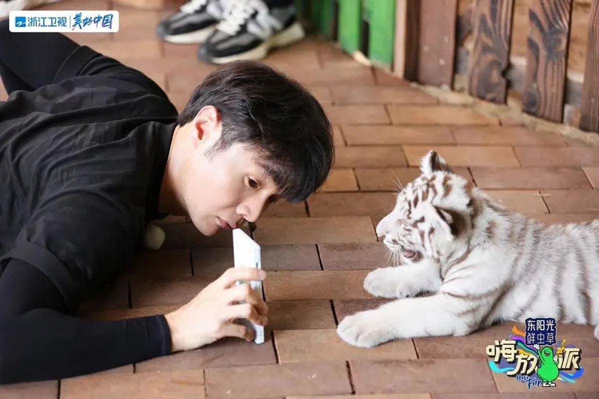 李荣浩趴在地上尝试用小老虎的脸打开手机解码。（互联网）