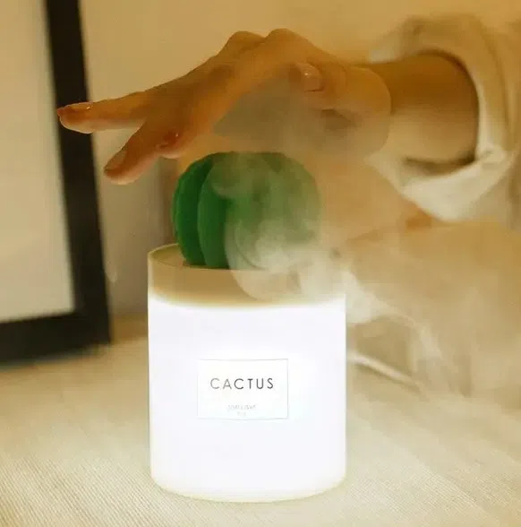 仙人掌外型加湿器带来长久滋润。（互联网）
