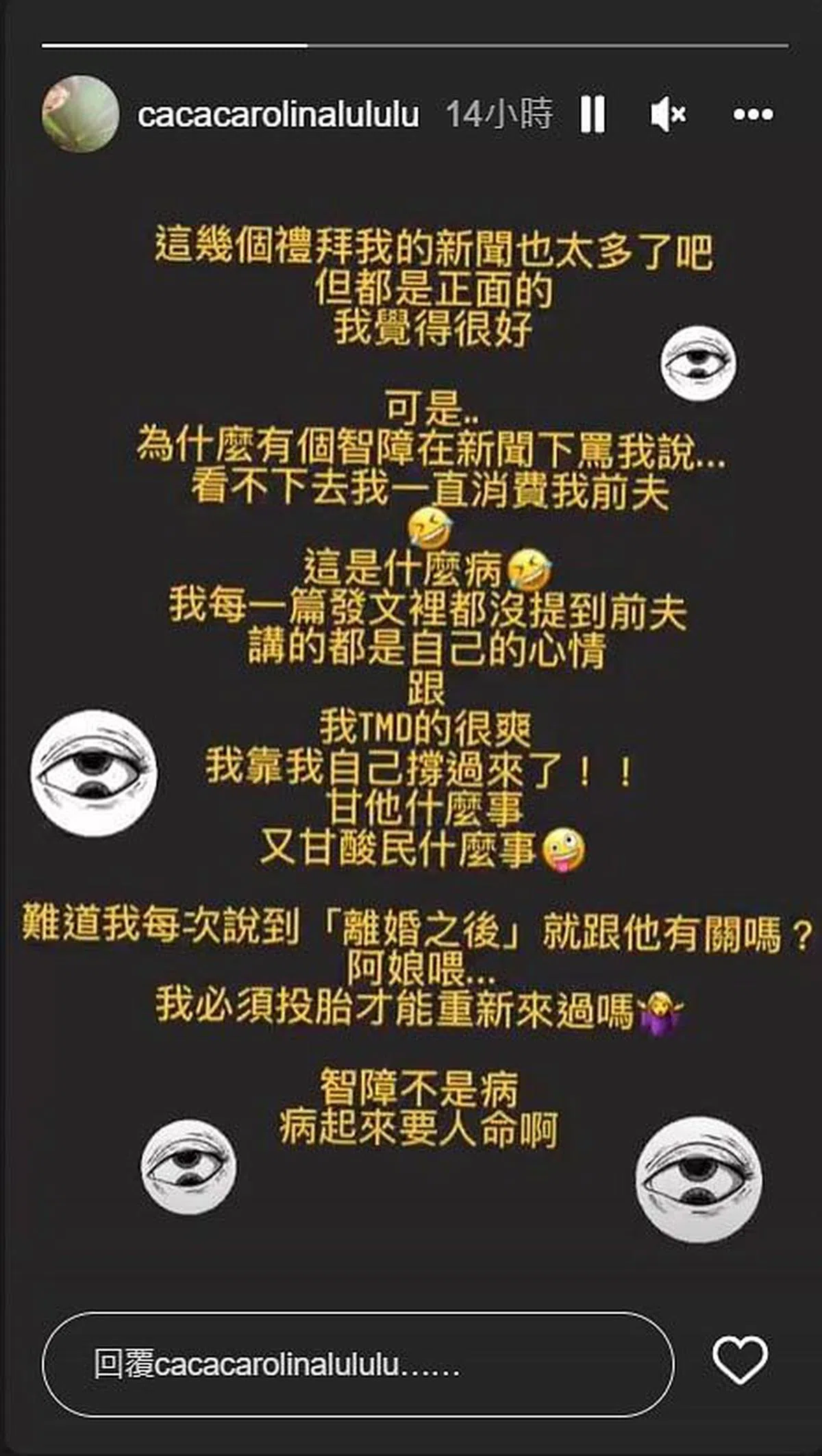 陆元琪在IG限时动态驳斥酸民。（取自网络）