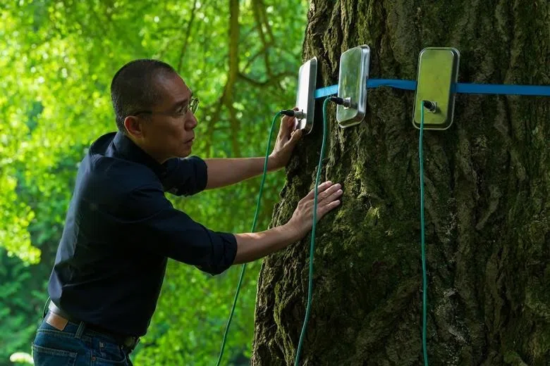 梁朝伟在《寂静的朋友》中台词不多，演绎无声胜有声。（互联网）