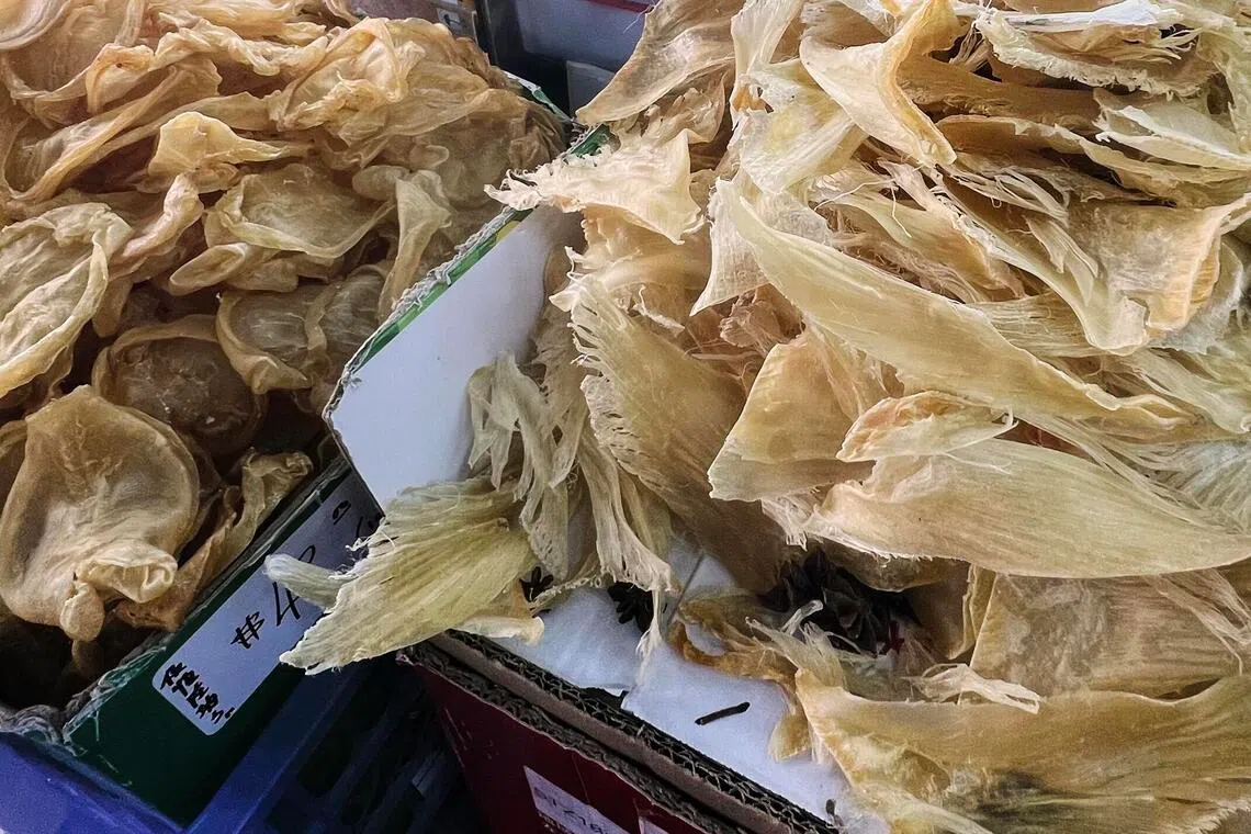 研究团指出，新加坡是鱼翅的主要市场之一，也是全球鱼翅交易的重要枢纽，大量鱼翅通过新加坡运往中国大陆和香港。　 （陈渊庄摄）