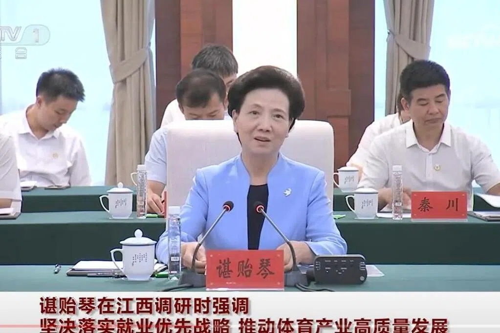 谌贻琴：全力做好高校毕业生农民工等重点群体就业