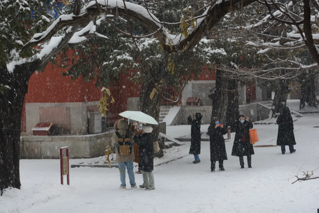 孔庙的雪下得正欢。