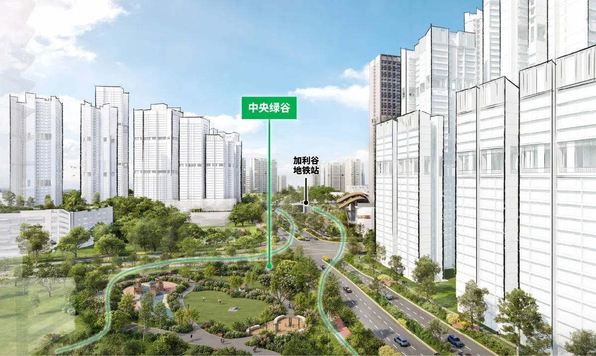 大巴窑西核心地带将设有中央绿谷。新住宅的楼高将朝中央绿谷逐渐降低，高楼之间穿插较矮的建筑和开放空间，形成高低错落的景观。（建屋局构想图）